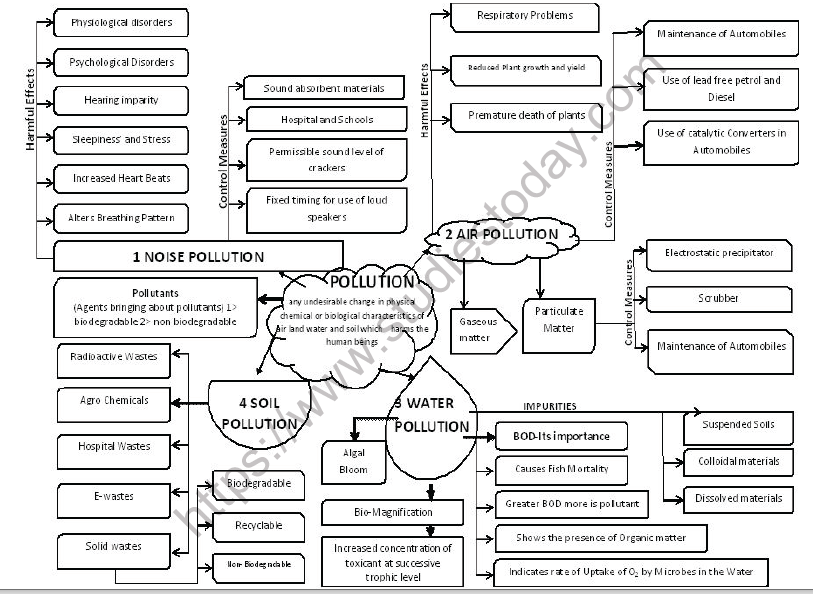 Cbse Class Biology Environmental Issues Minds Map Concepts For